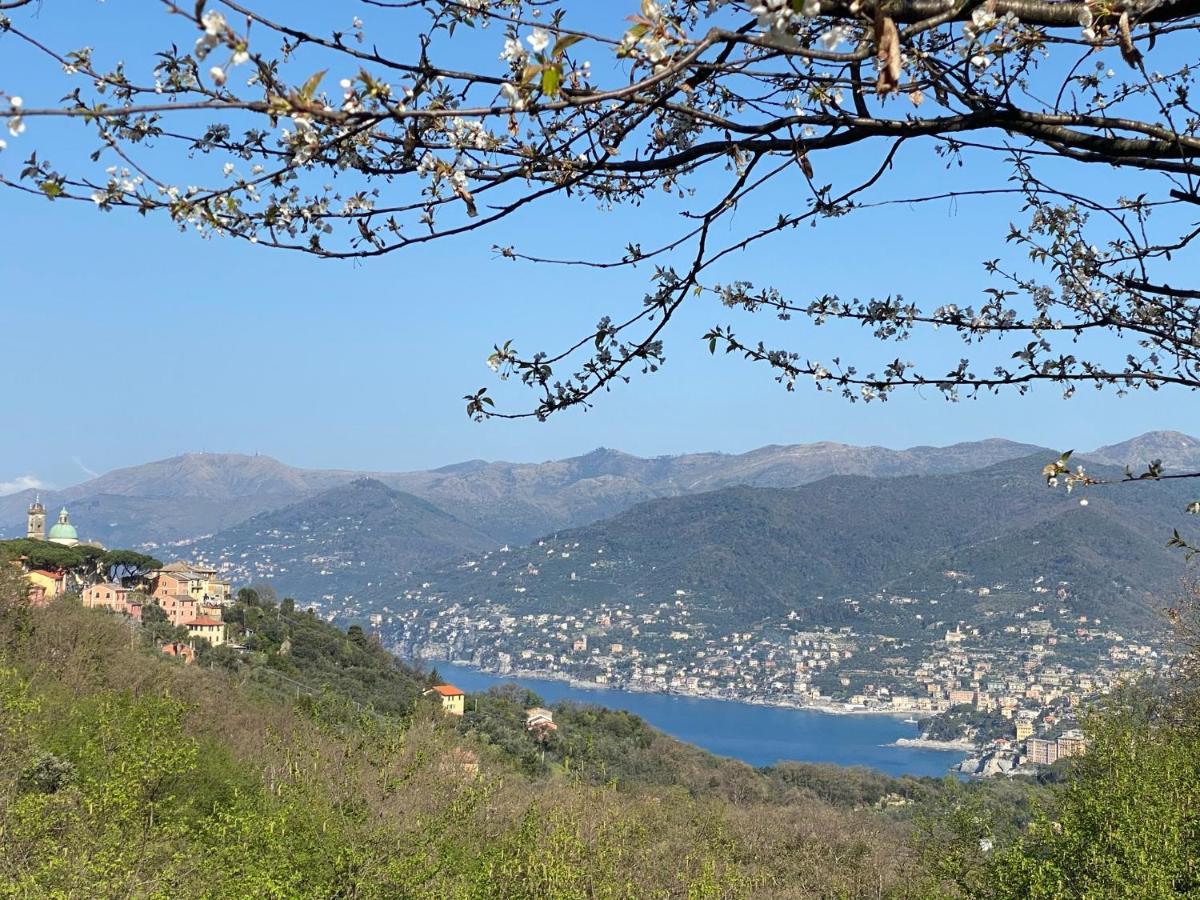 Liguria Home 4 - Recco Centro A 2 Minuti Dal Mare Zewnętrze zdjęcie